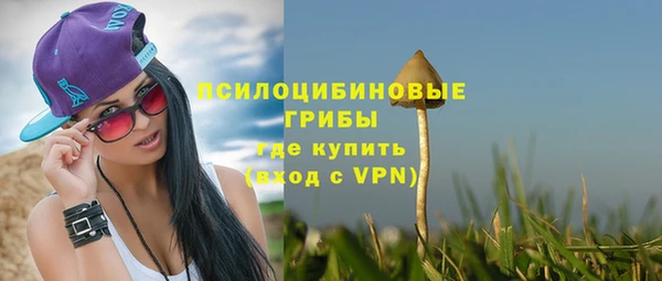 дживик Заволжск