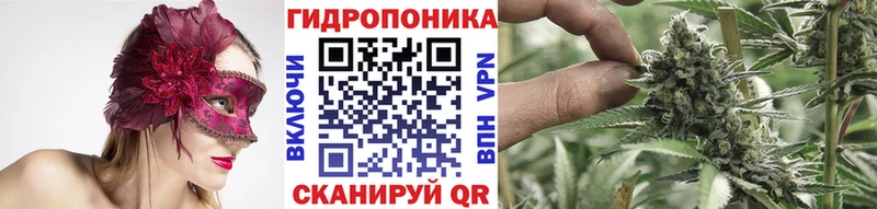 Купить закладки  Кимры  Конопля марихуана 